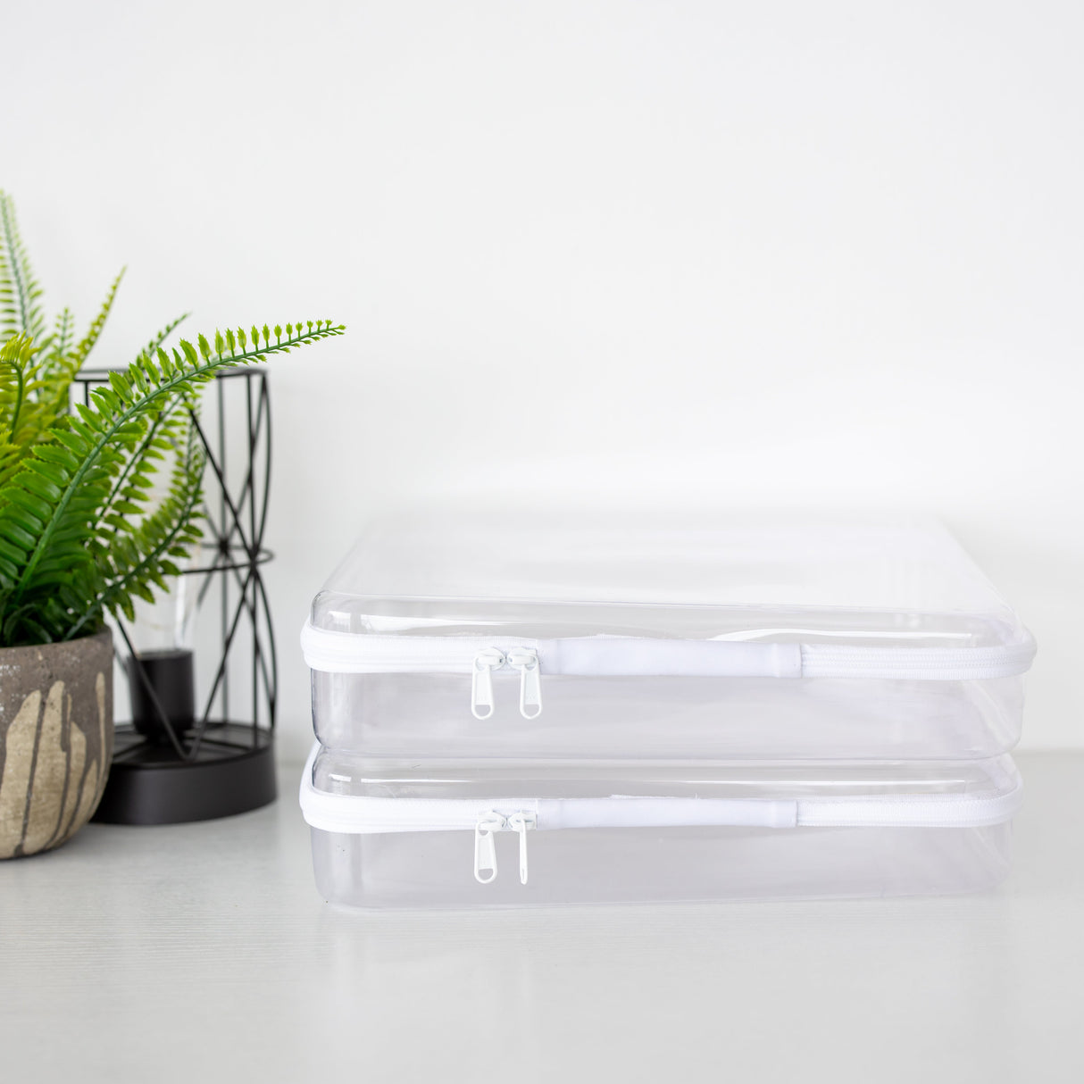 Clear plastic container on a white surface with a plant and decorative item in the background
