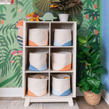 Double Dip Bin XL