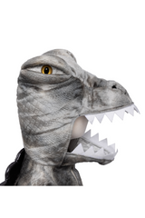 Grey Grandasaurus Spinosaurus Cape