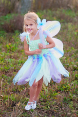 Butterfly Dress & Wings with Wand