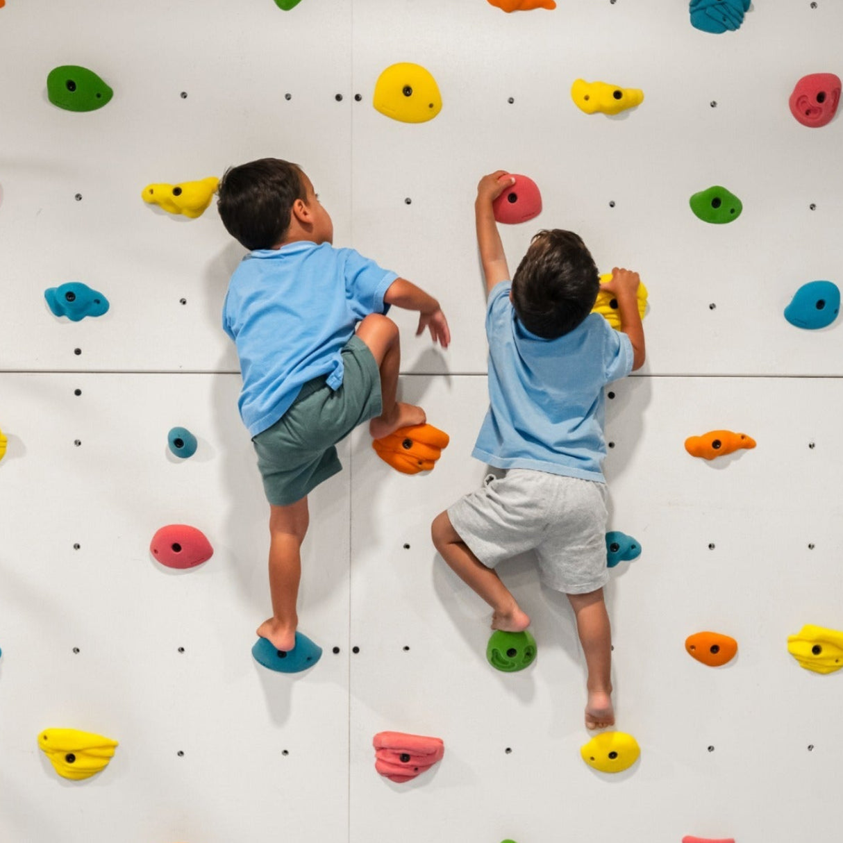 Climbing Holds