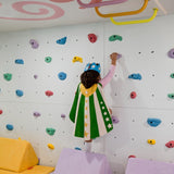 Ascend Climbing Panel with Standard Frame