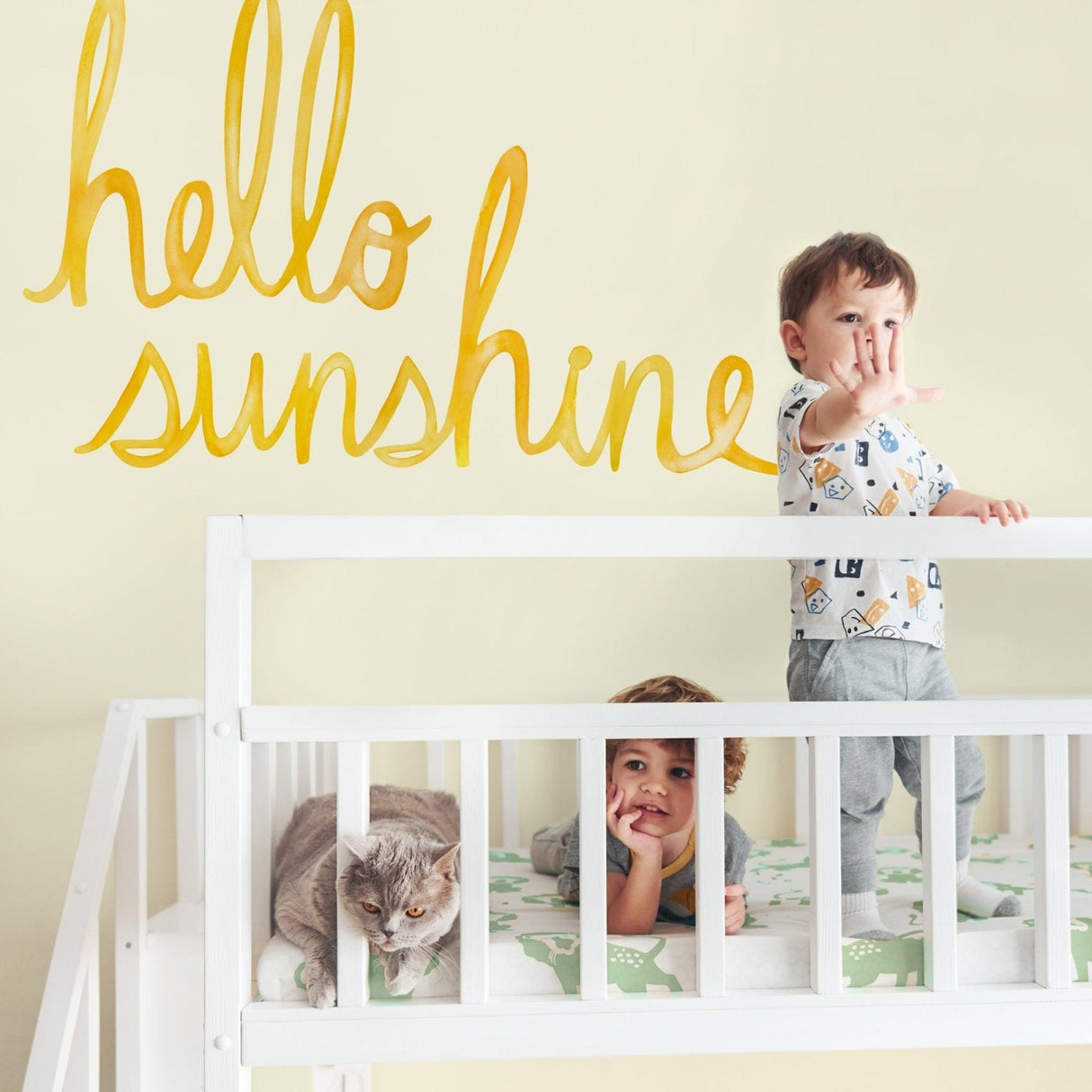 Watercolor Words • Hello Sunshine • Peel-and-Stick Wall Decals