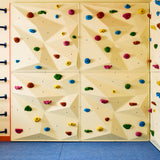 Colorful climbing wall with holds and handholds in an indoor setting