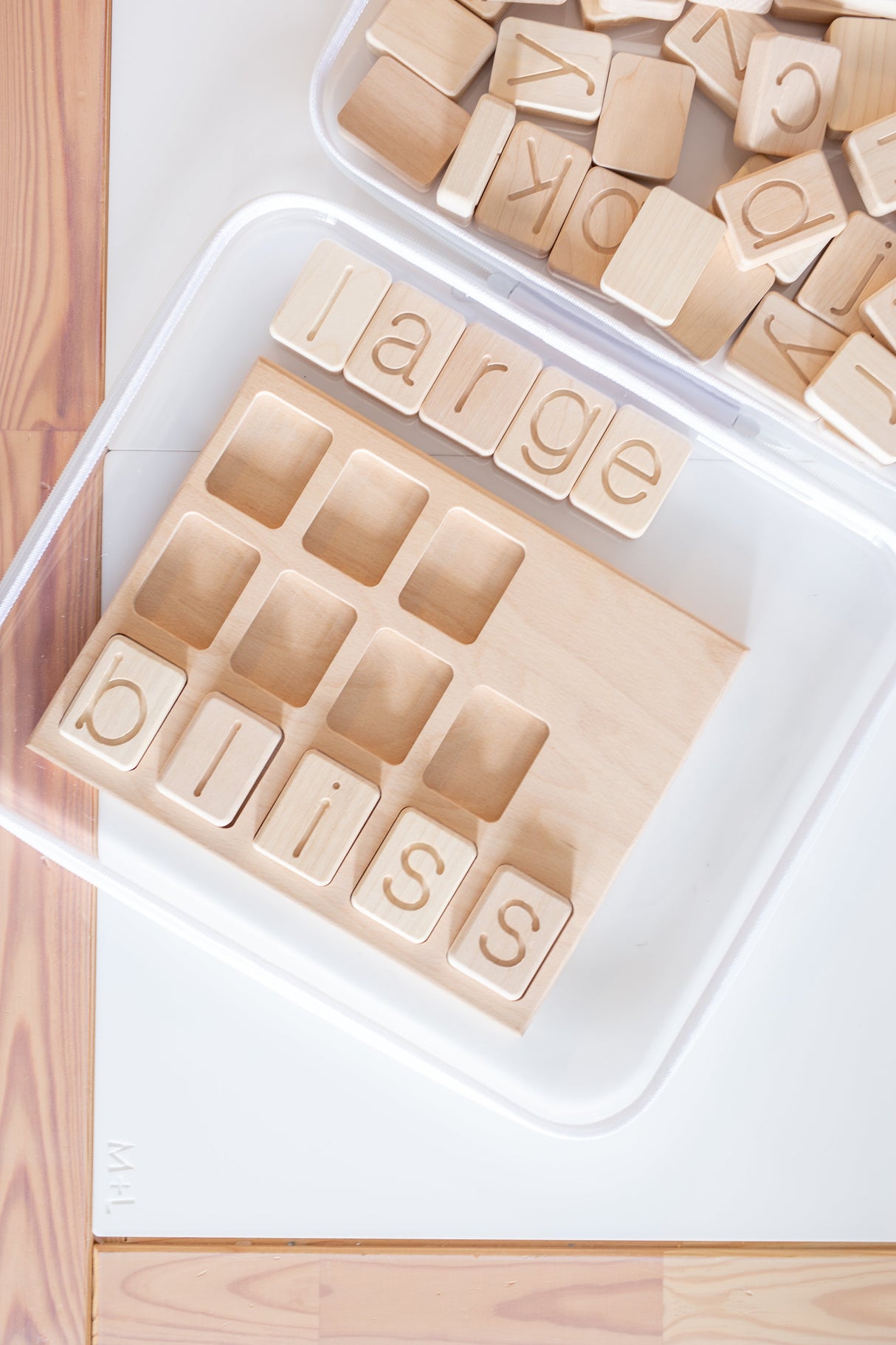 Large Bliss Bins®️| 2 Pack