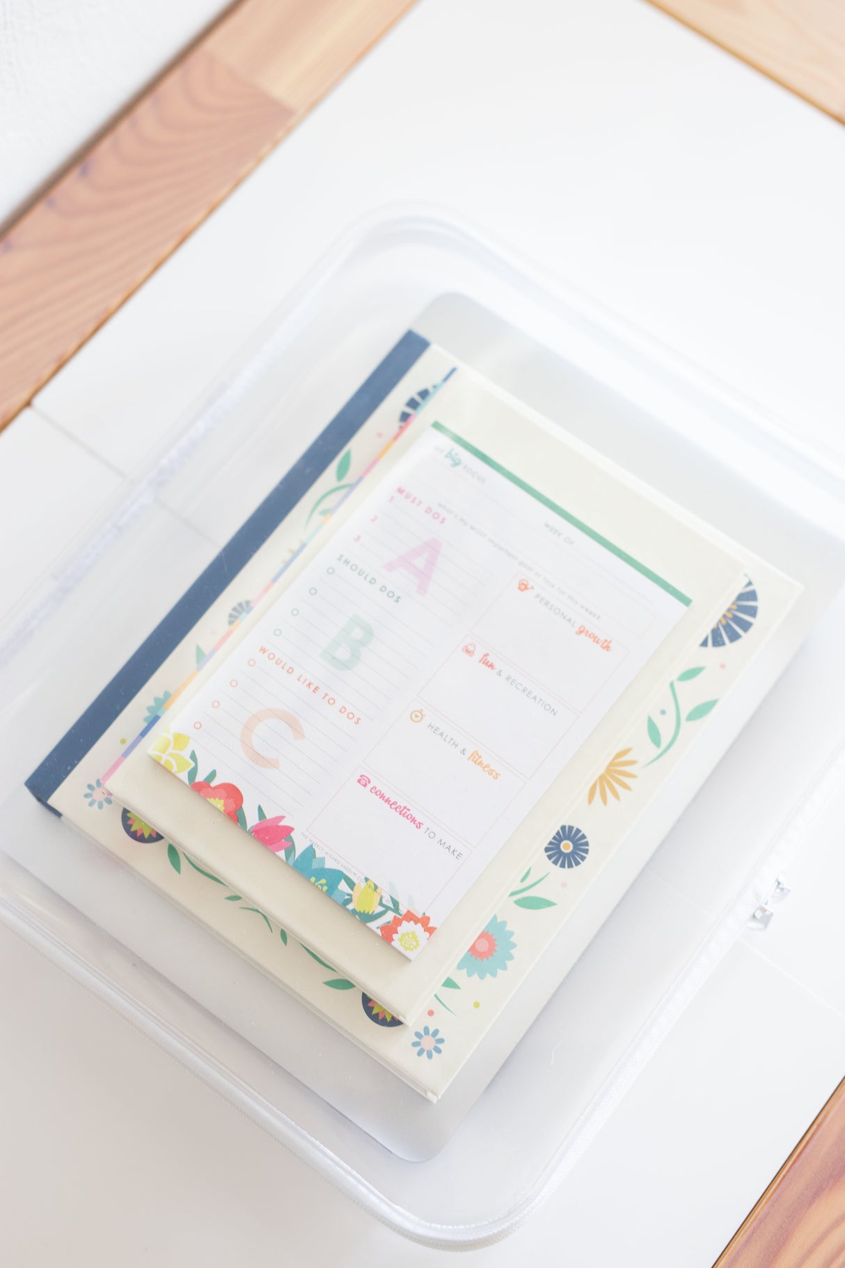 Large Bliss Bins®️| 2 Pack