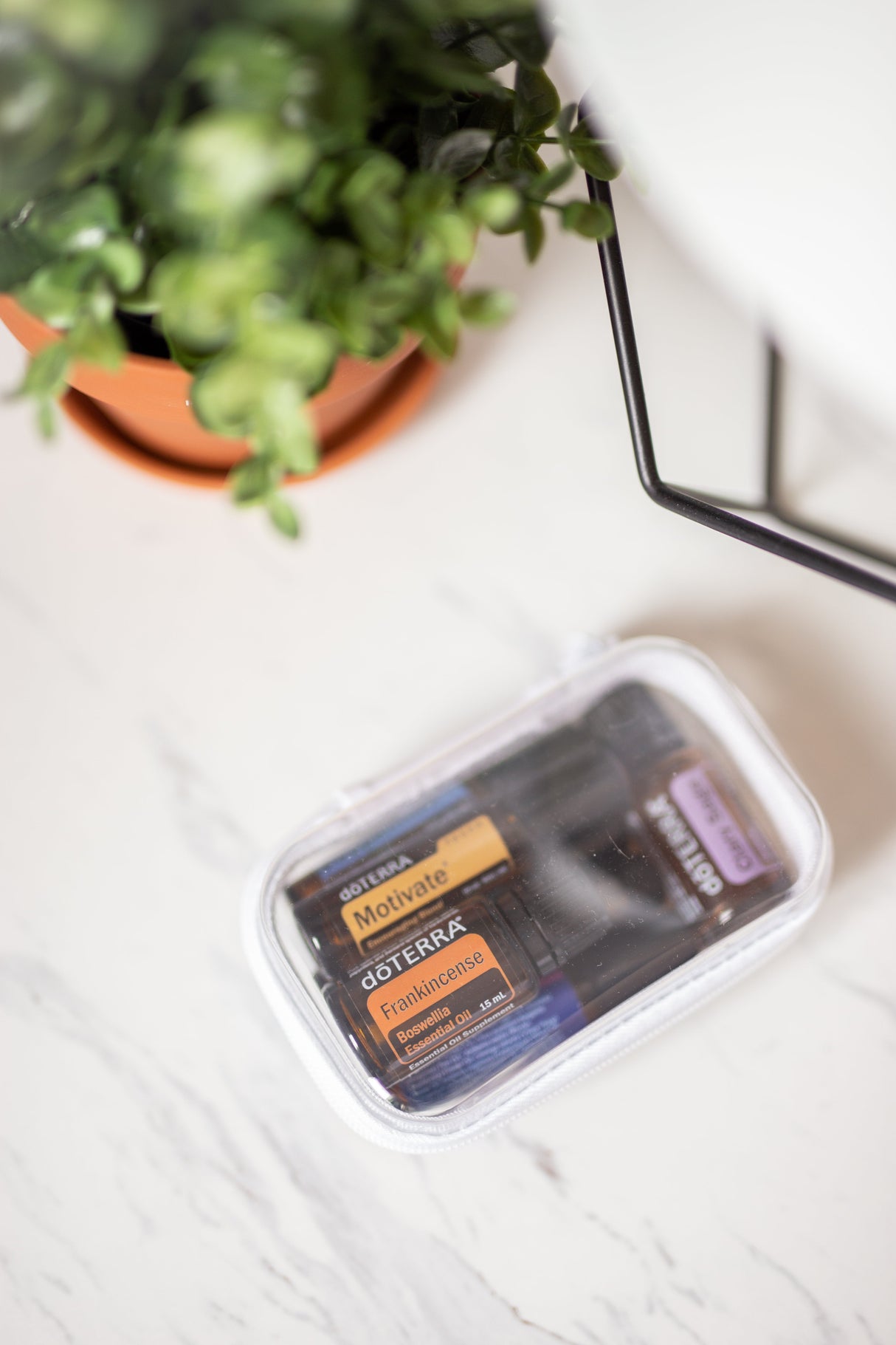 Extra Small Bliss Bins®️| 2 Pack