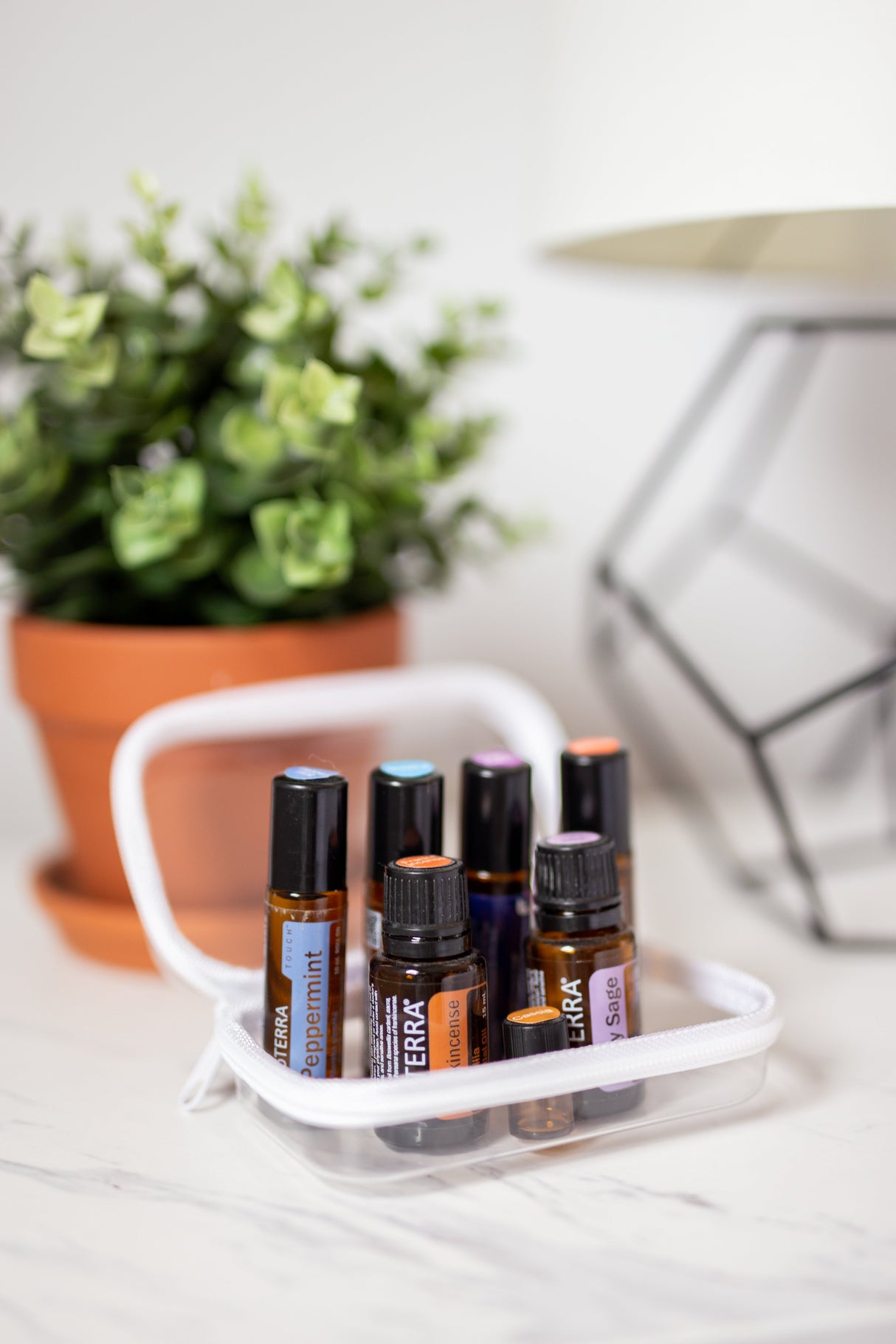 Extra Small Bliss Bins®️| 2 Pack