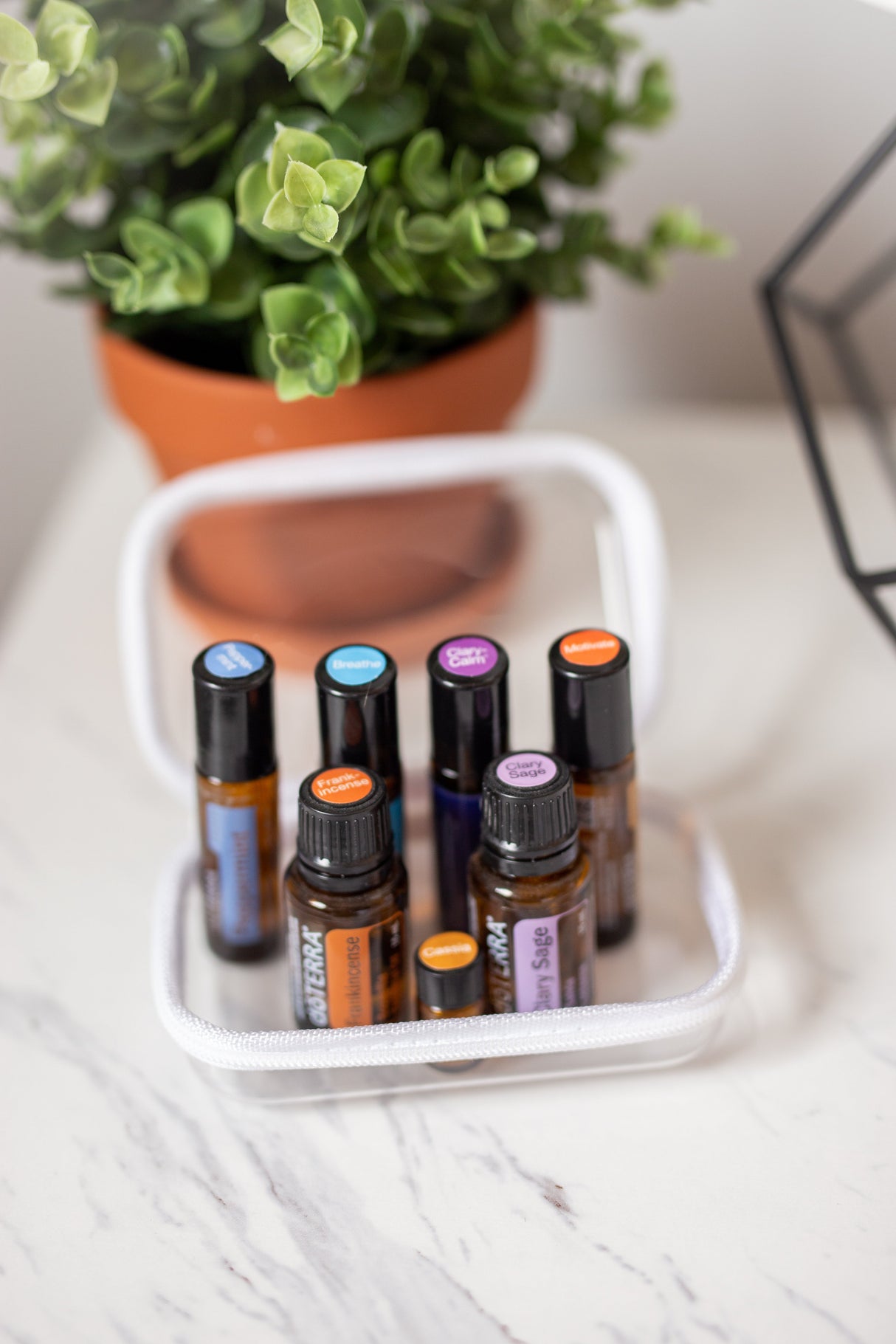 Extra Small Bliss Bins®️| 2 Pack