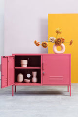 The Lowdown Storage Locker