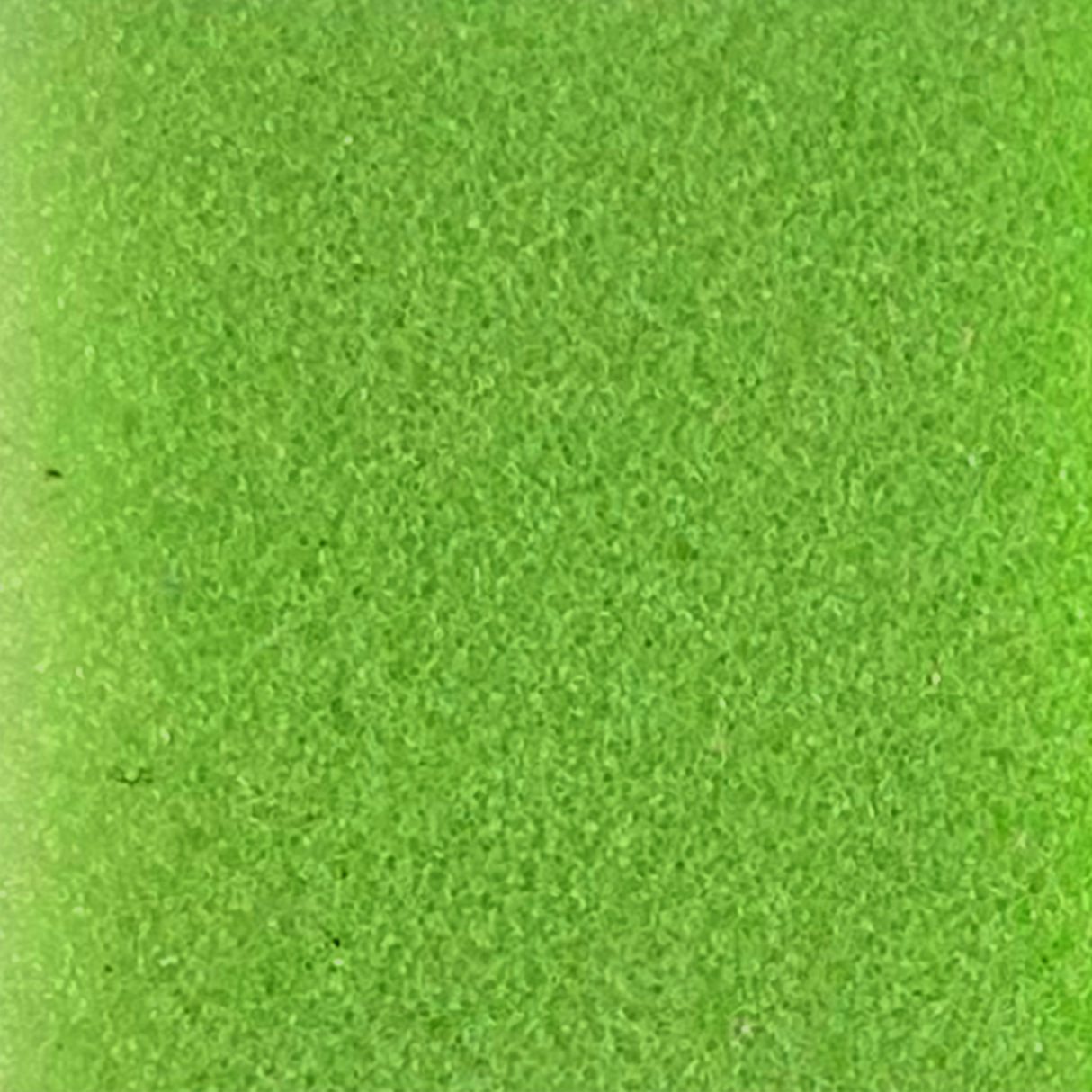Foam Cubes Samples
