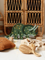 Little Lights Triceratops Dinosaur Lamp