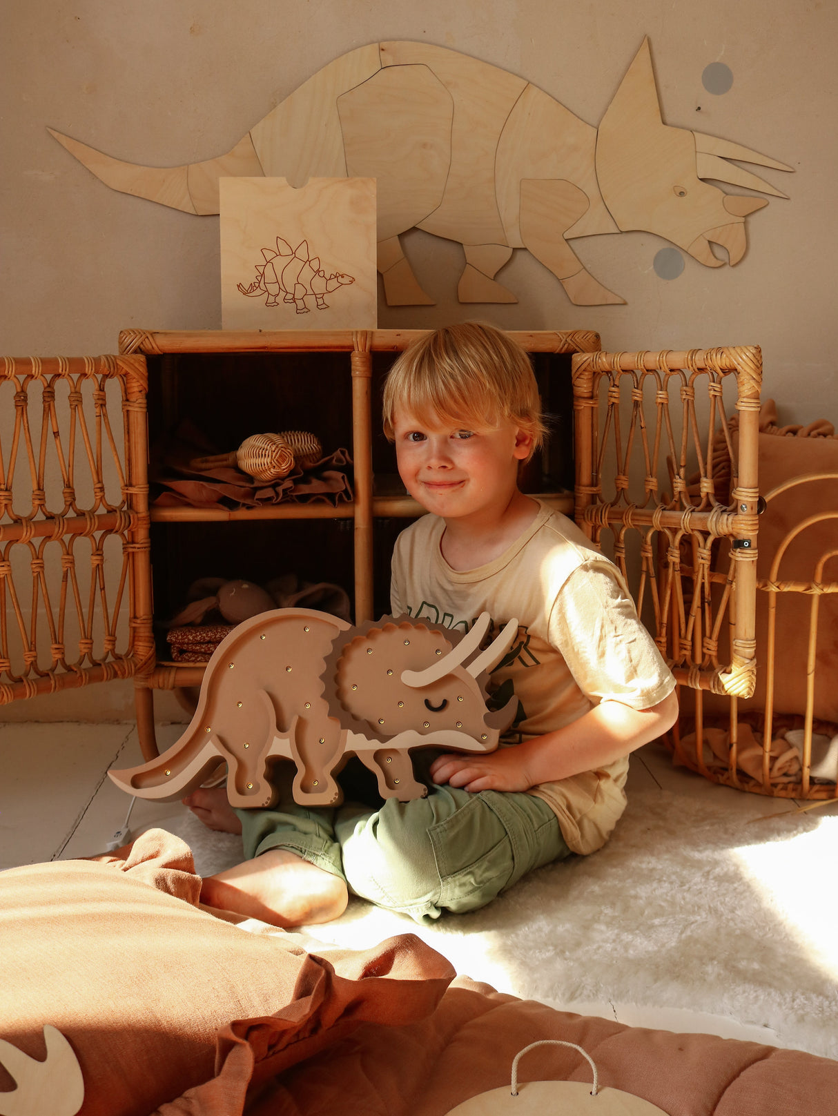 Little Lights Triceratops Dinosaur Lamp