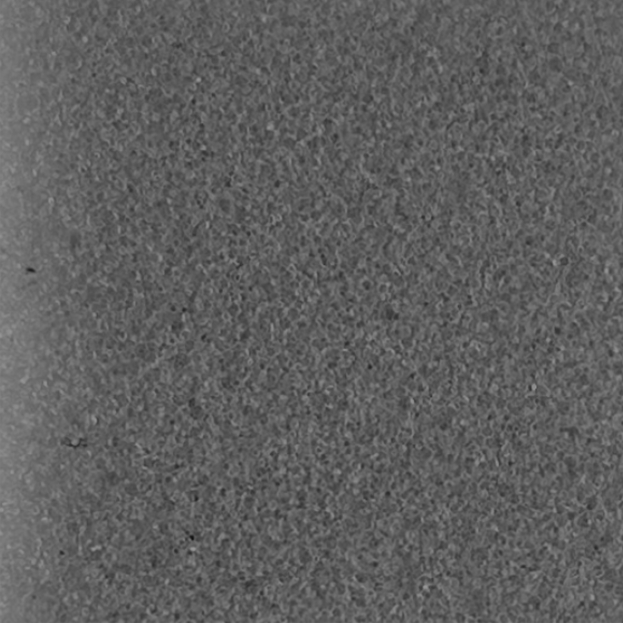 Foam Cubes Samples