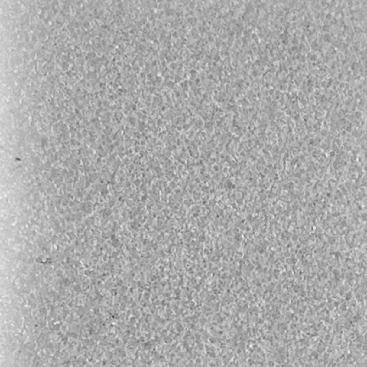 Foam Cubes Samples